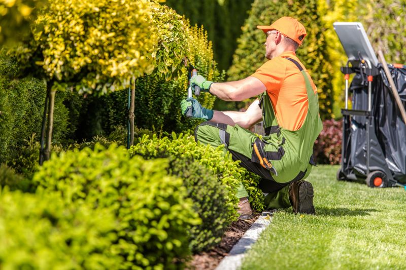 Landscaping and Pruning