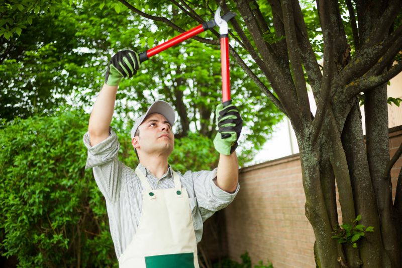 Seasonal Tree Pruning