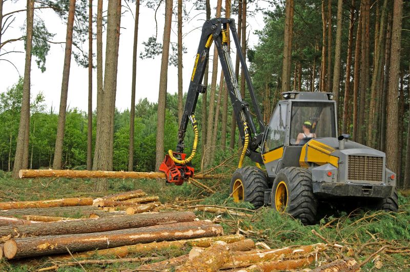 Equipment Used in Wood Strippings