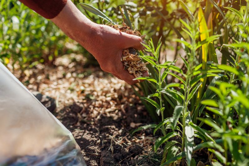 Wood Strippings Mulch